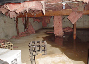 fiberglass insulation dripping off the ceiling of a crawl space in Odessa.