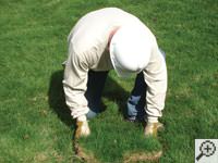 Restoring the landscaping by replacing removed sod on the ground for a Canyon home.