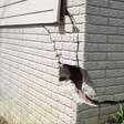 foundation walls cracked due to settlement in Amarillo