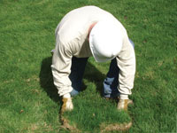 Restoring the landscaping by replacing removed lawn sections for a Plainview home.