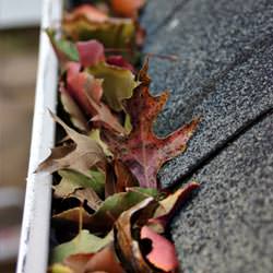 Clogged gutters filled with fall leaves  in Stinnet